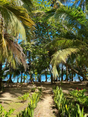 Drago Beach House - Private Beach